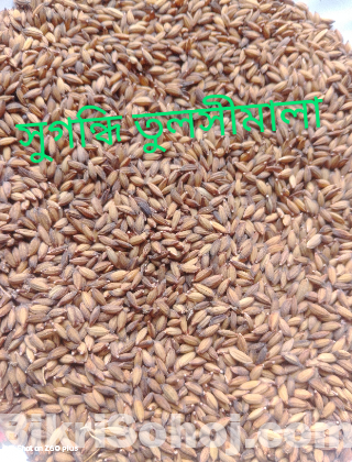 পাকিস্তানি বাসমতী এবং তুলশীমালা